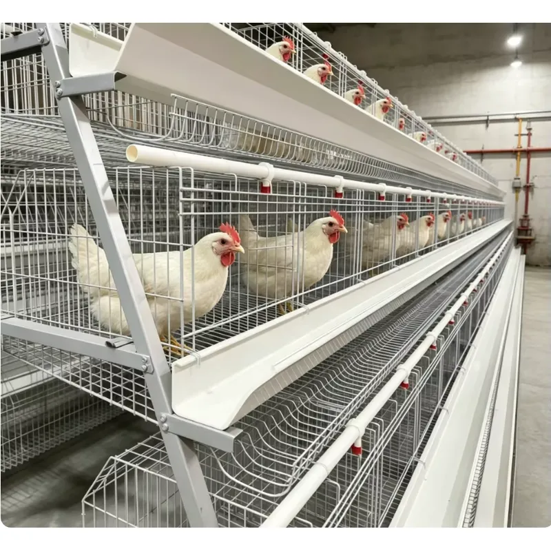 Farming Africa - A-Typ Batterie-Käfigsystem Komplettset mit Futtertrog und