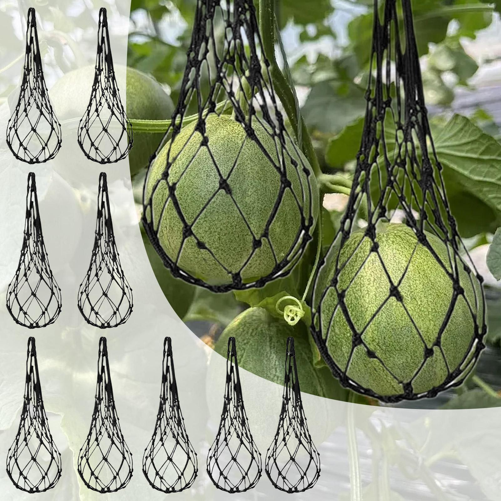 Agriculture Vertical Farming - 10 Stück Wassermelonen-Netze, Garten-Hängenetz für vertikales