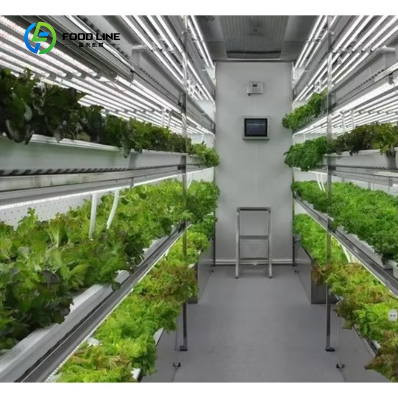 Agriculture Vertical Farming - Maßgeschneidertes Smart Farm Vertikales NFT-Hydroponik-System Stahlcontainer-Gewächshaus
