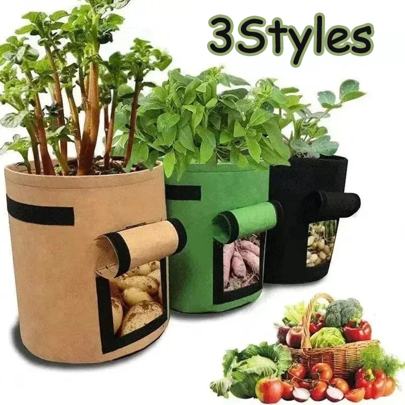3 Arten Filz Pflanze wachsen T – Agriculture Vertical Farming Bewertung und Preis