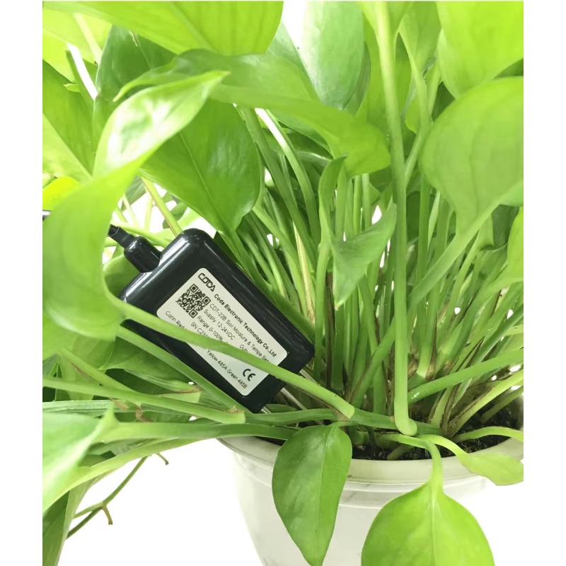 RS485 4–20 mA tragbares Bodenf – Soil Moisture Sensor Bewertung und Preis