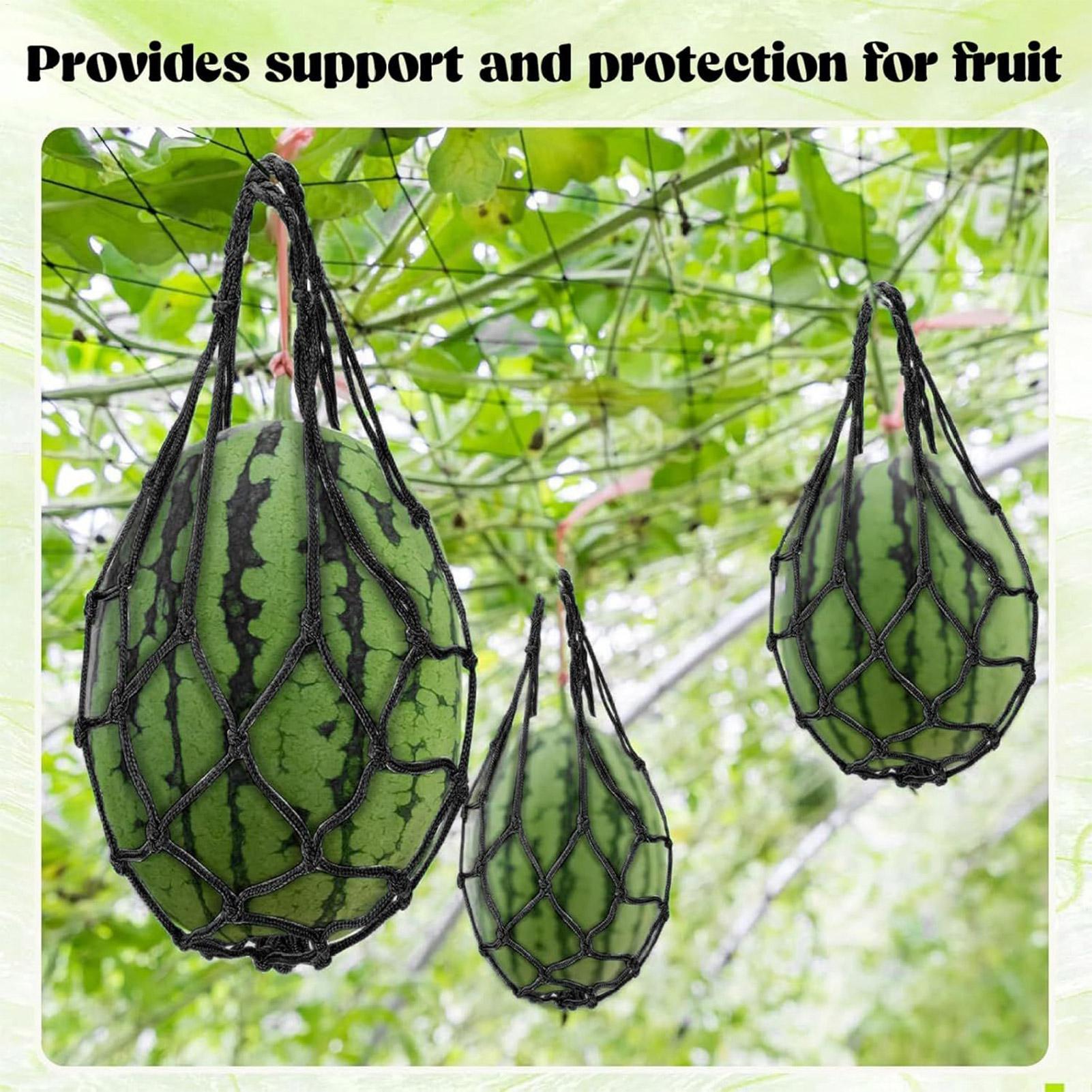 10 Stück Wassermelonen-Netze,  – Agriculture Vertical Farming Bewertung und Preis