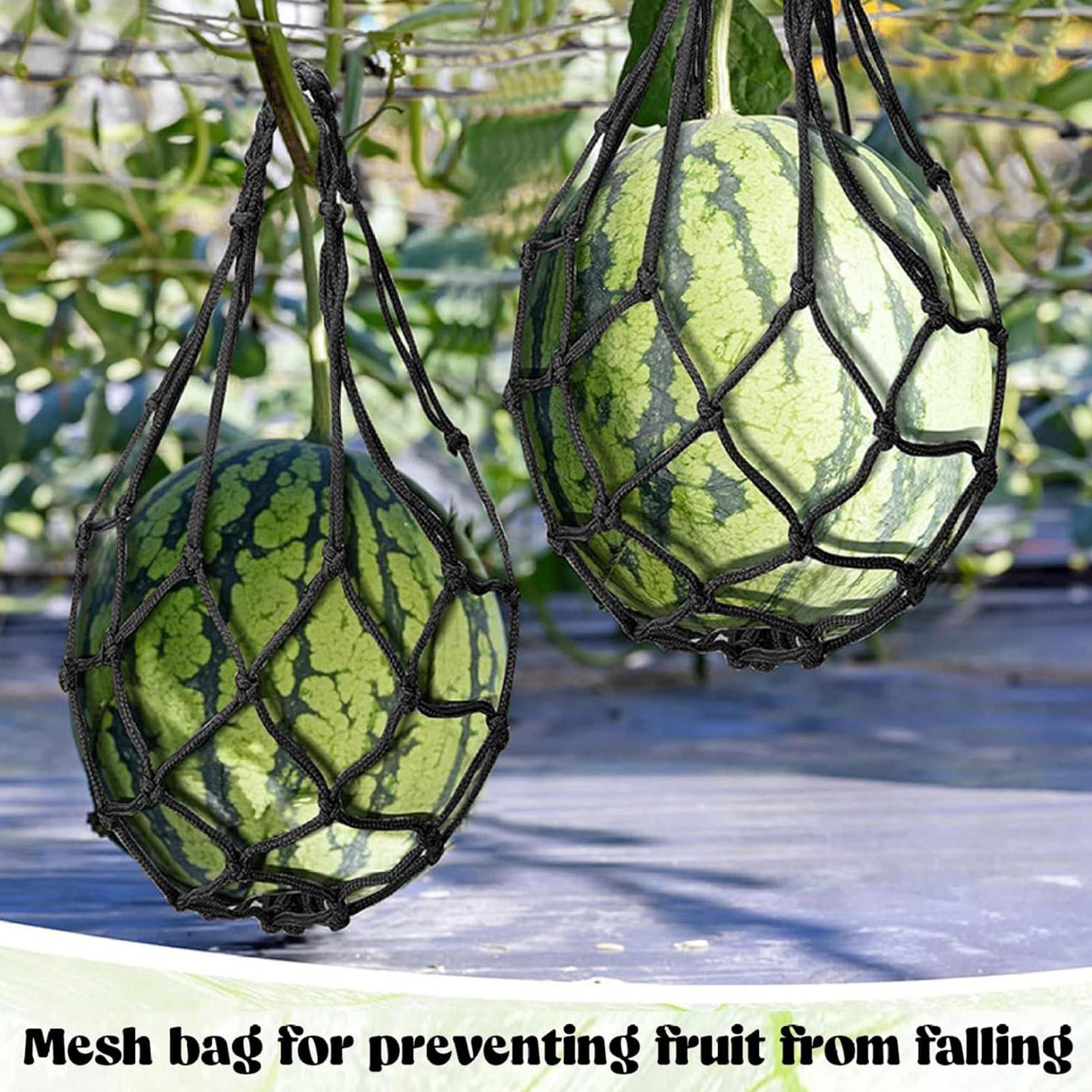10 Stück Wassermelonen-Netze,  – Agriculture Vertical Farming Bewertung und Preis
