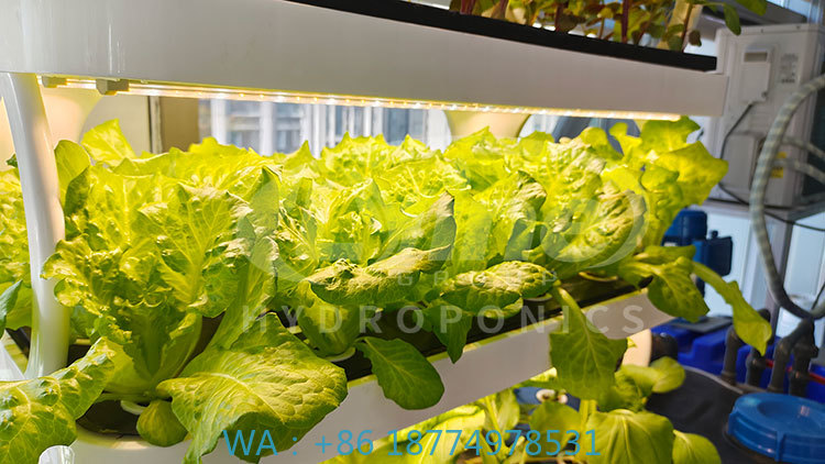 c Landwirtschaftsmaschine zum  – Agriculture Vertical Farming Bewertung und Preis