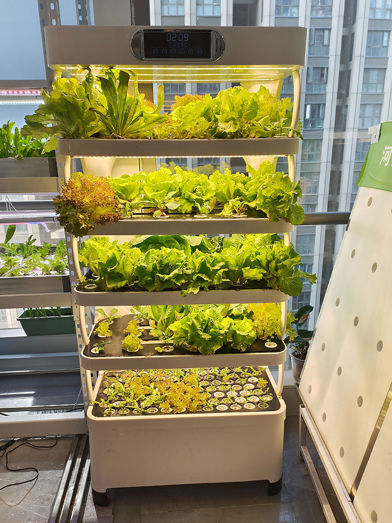 c Landwirtschaftsmaschine zum  – Agriculture Vertical Farming Bewertung und Preis