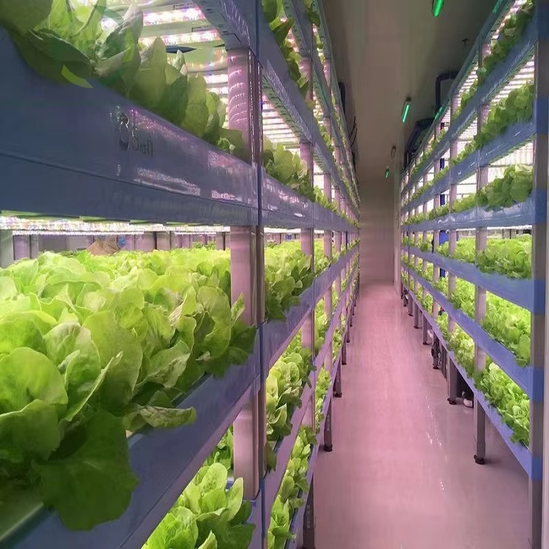 Maßgefertigte Landwirtschaftli – Agriculture Vertical Farming Bewertung und Preis