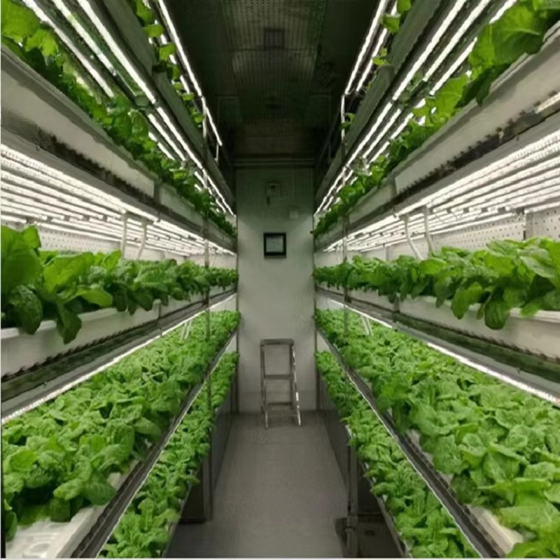 Maßgefertigte Landwirtschaftli – Agriculture Vertical Farming Bewertung und Preis