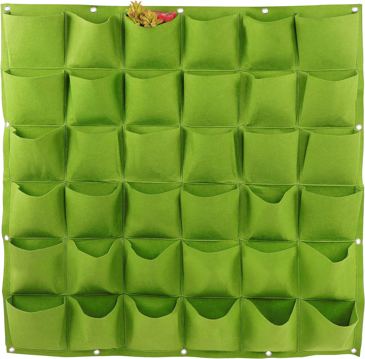 Pflanzenwachstumsbeutel, Filz- – Agriculture Vertical Farming Bewertung und Preis