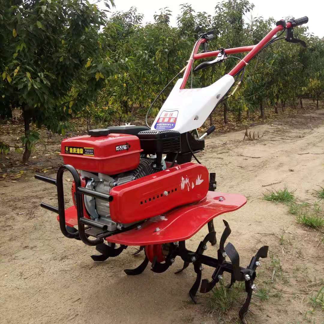 Hochproduktiver, Langlebiger A – Farming Jobs Bewertung und Preis