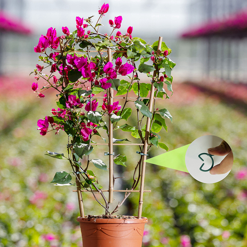 50/100 Stück Gartenpflanzencli – Agriculture Vertical Farming Bewertung und Preis