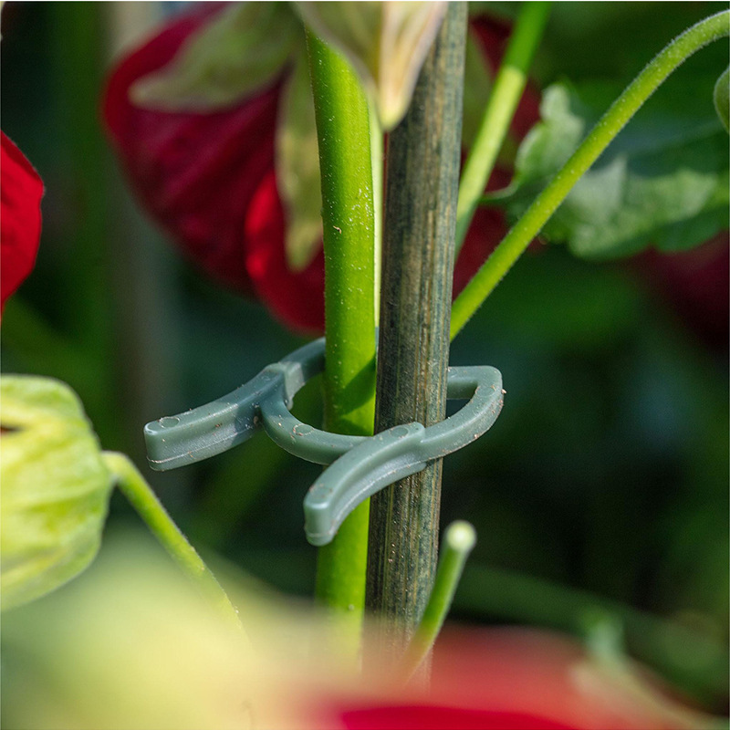 50/100 Stück Gartenpflanzencli – Agriculture Vertical Farming Bewertung und Preis