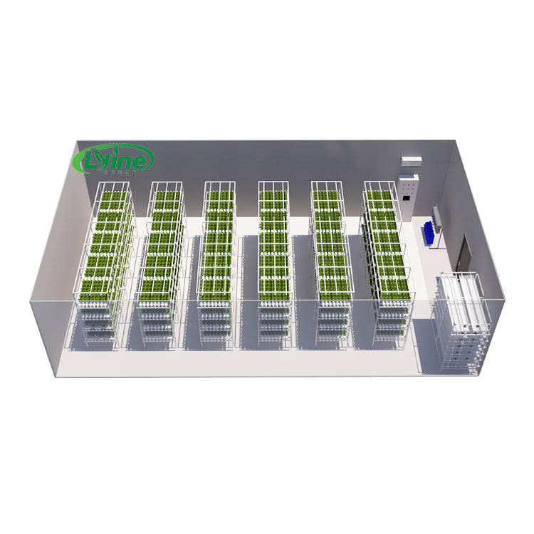 Landwirtschaftliche Gewächshäu – Agriculture Vertical Farming Bewertung und Preis