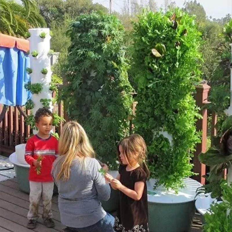 Vertikaler Hydroponischer Anba – Agriculture Vertical Farming Bewertung und Preis