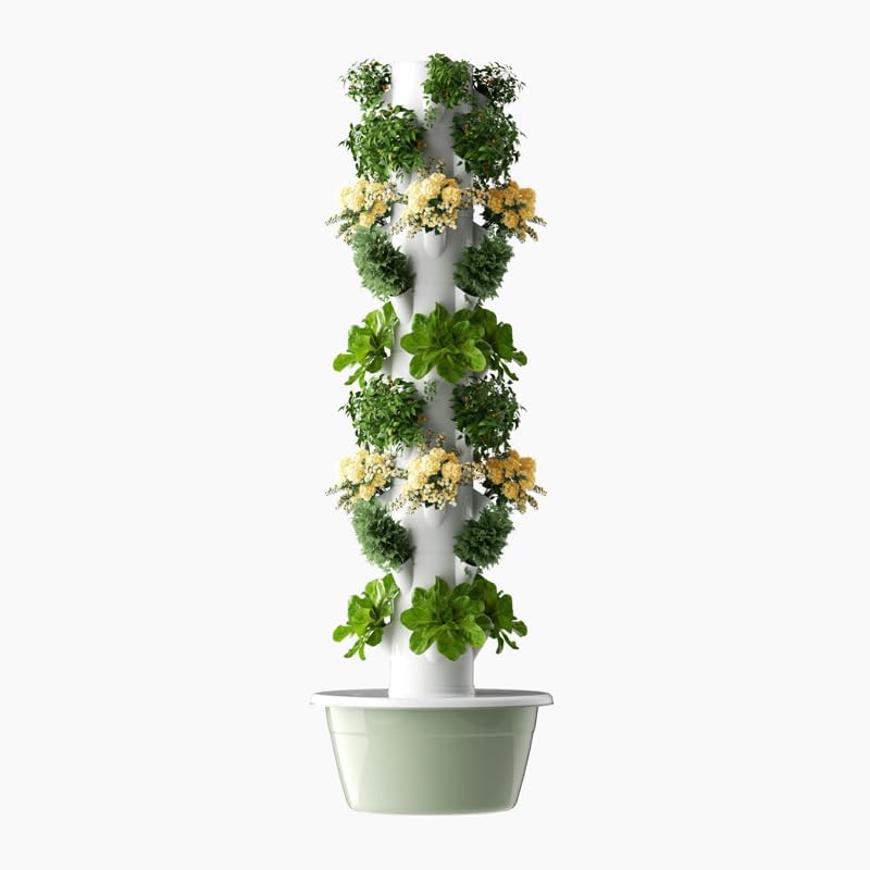 Vertikaler Hydroponischer Anba – Agriculture Vertical Farming Bewertung und Preis